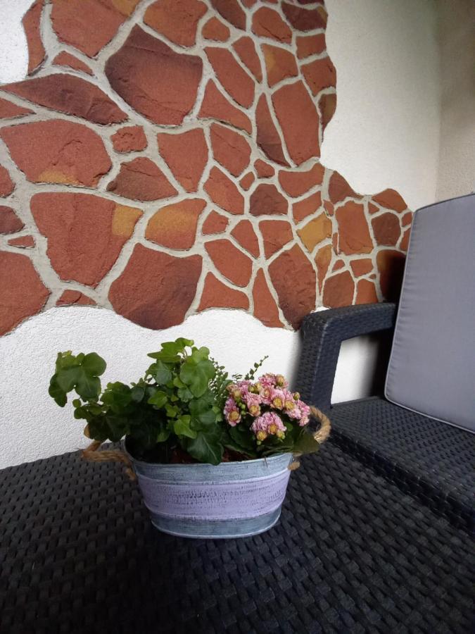 Apartman Erika - Bešeňová Exteriör bild