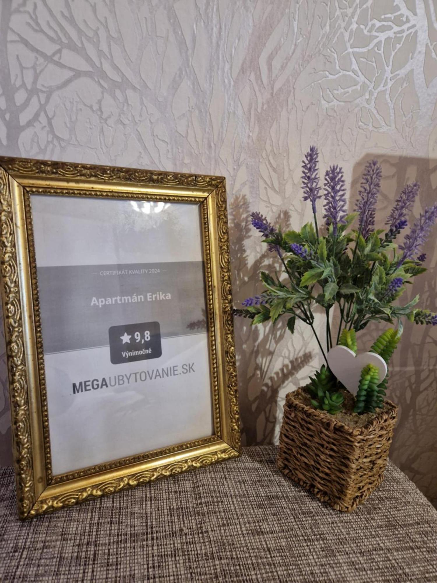 Apartman Erika - Bešeňová Exteriör bild