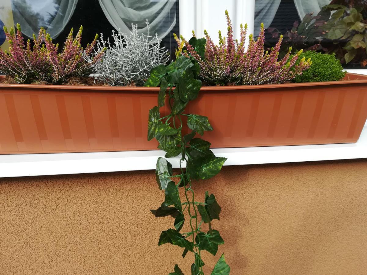 Apartman Erika - Bešeňová Exteriör bild