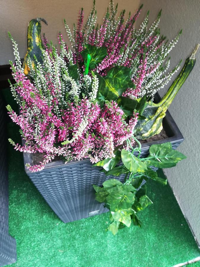 Apartman Erika - Bešeňová Exteriör bild